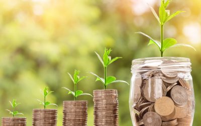 **Comment les forces obscures de la psychologie humaine façonnent le marché financier ?**